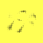 Flying Focus logo