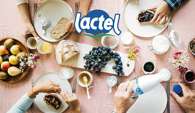 | LACTEL | - Photographie