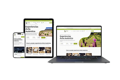 Comercio digital - Diputación de Ávila - E-commerce