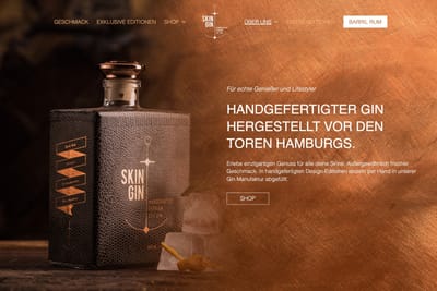 Skin Gin - SEO