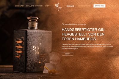 Skin Gin - Création de site internet