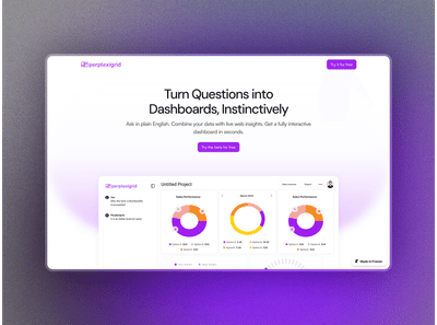 PerplexiGrid — Sito web per dashboard di analytics basate su AI - Website Creation