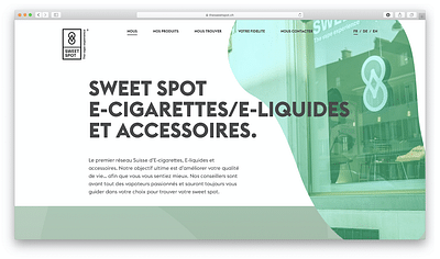 Website Development for a Swiss Retail company - Website Creation