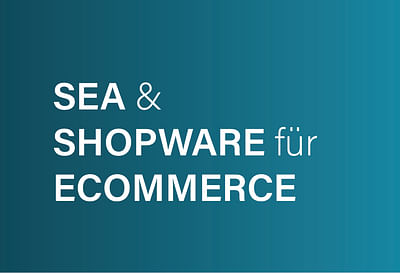 Onlineshop mit Shopware & Marketing - E-Commerce