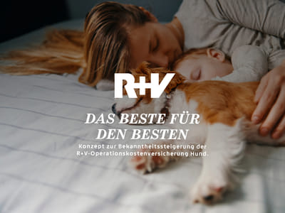 OPK-Versicherung Hund – Das Beste für den Besten - Social Media