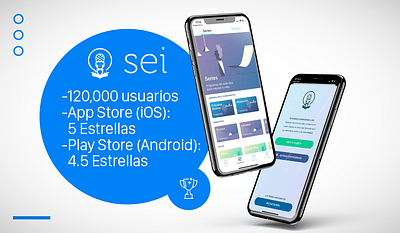 Desarrollo App SEI - Ontwerp