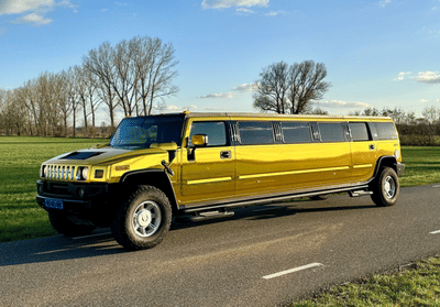 Case Vallei Limousines - Digital Strategy