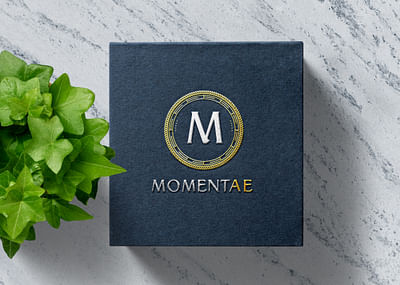 Logotipo/imagen corporativa y diseño web - Publicidad