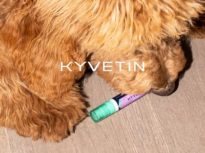 Kyvetin – The champion of animal skin health - Graphic Design