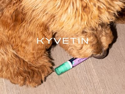 Kyvetin – The champion of animal skin health - Grafikdesign