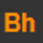Bh webentwicklung