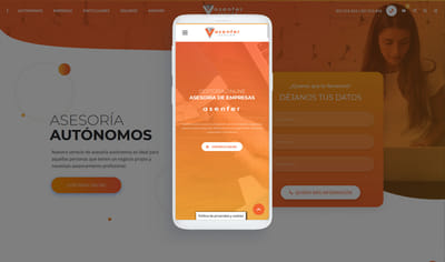 Desarrollo web Ecommerce para Asesoría Online - SEO