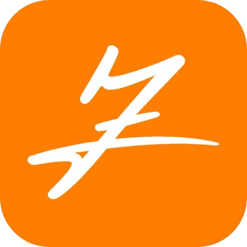 Z Web&Co