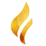 Element Media