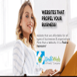 Pinwilz - Unifiweb - Winston Salem