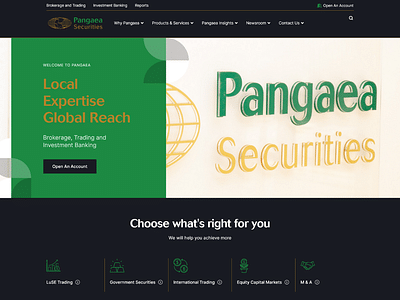 Website for Pangaea Securities - Creazione di siti web