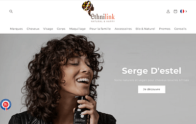 Ethnilink - Website Creatie