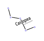 Casiopea Comunicación