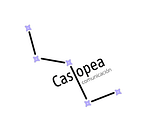 Casiopea Comunicación logo