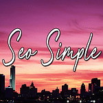 Seo Simple logo