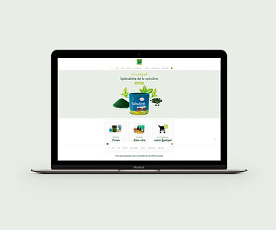 Création site e-commerce - E-commerce