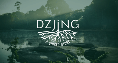 DZJING - rebranding - Image de marque & branding