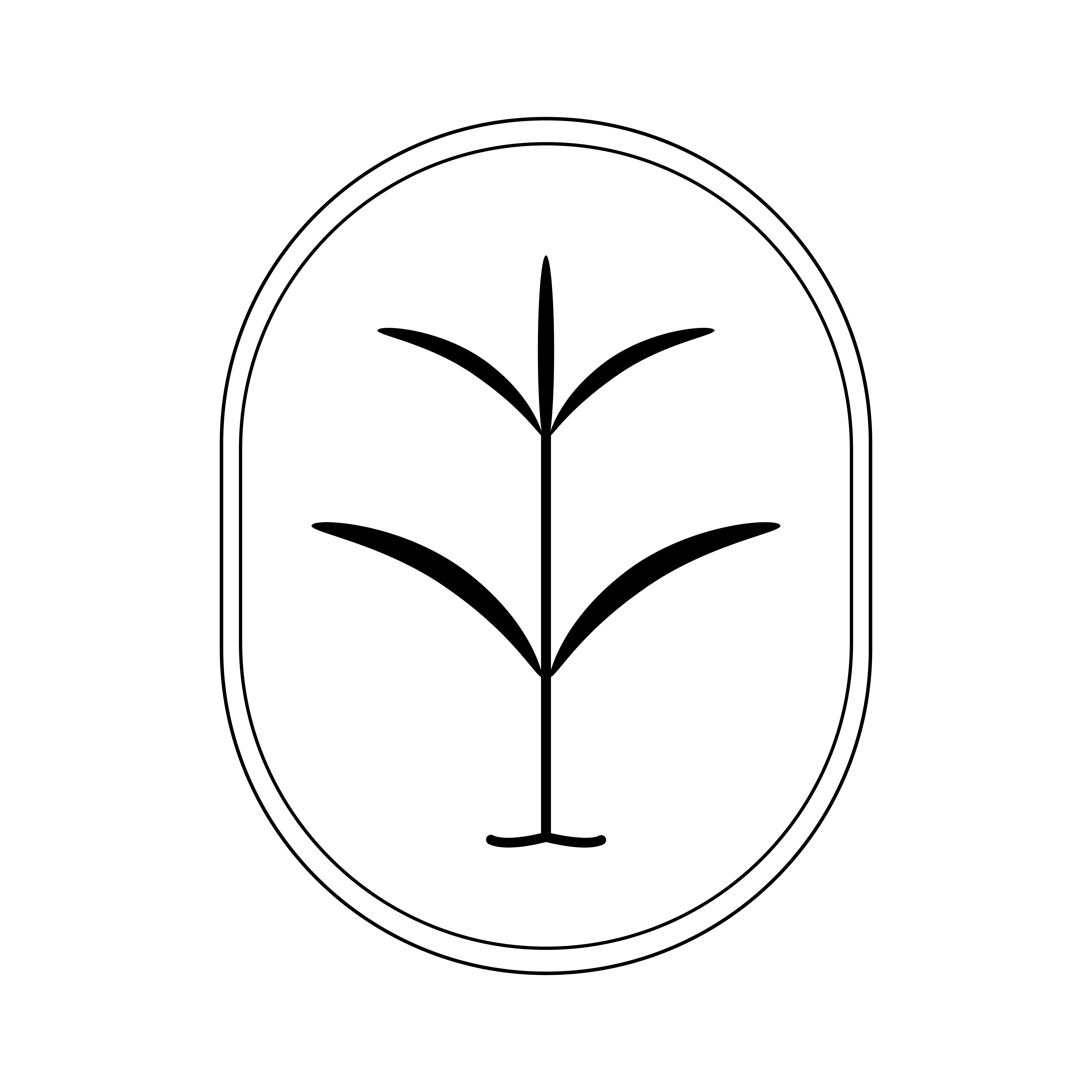 ayalga estudio