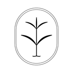 ayalga estudio