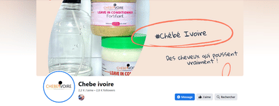 Developpement d'une présence en ligne - Réseaux sociaux