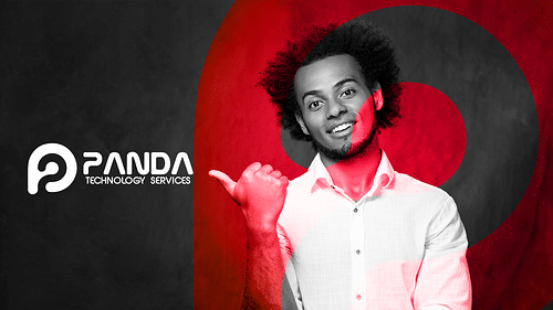 Panda Technology Services cover