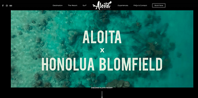 Aloita Resort - Référencement naturel