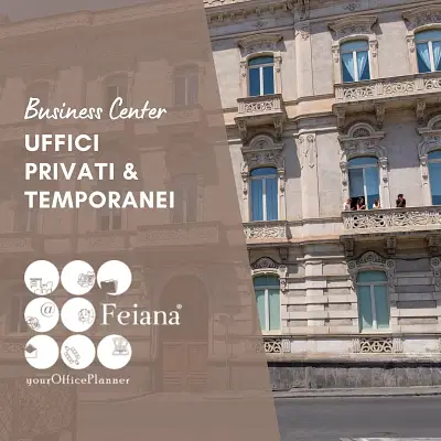 Sviluppo Sito Web | Feiana Business Center - Marketing