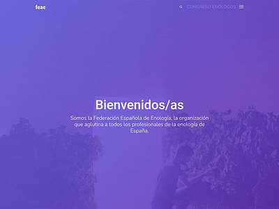 Federación Española de Enología - Applicazione web