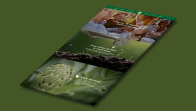 Landing Page I Authentic Stories - Creación de Sitios Web