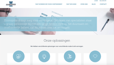 Website for a financial advisor - Website Creatie