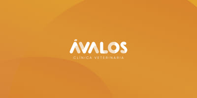 ÁVALOS CLÍNICA VETERINARIA - Image de marque & branding