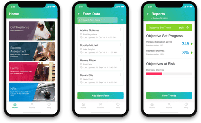 Calf Care - Ergonomie (UX/UI)