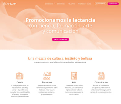 Apilam - Creación de Sitios Web