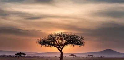 Votre voyage sur mesure en Afrique - Mancala Travel - Création de site internet