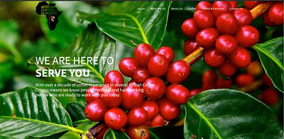 AFRICAN COFFEE HUNTERS - Website Creation