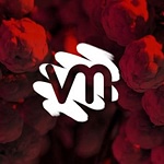 Visual Minds