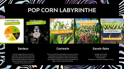 Pop Corn Labyrinthe - Community management
