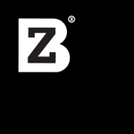 BZ Marketing