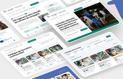 ENVF - Écoles nationales vétérinaires de France - Website Creation