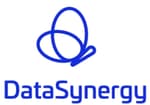 DataSynergy logo