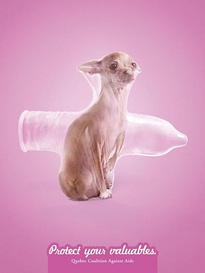 Dog - Advertising