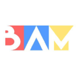 BAM logo