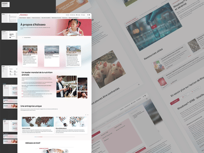 Adisseo : Un site corporate international | STRAPI - Website Creation