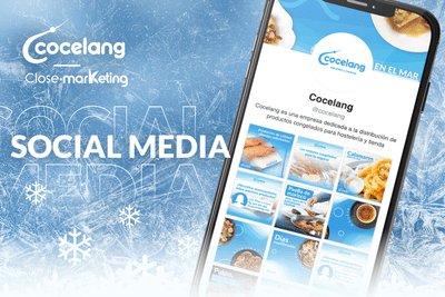 Gestión de redes sociales para Cocelang - Publicidad