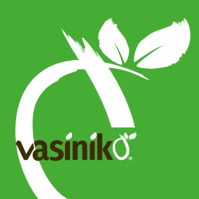 Vasinikò – Brand Identity & Visual Design for Neapolitan Food - Social media